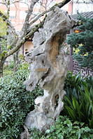 IMG 0677