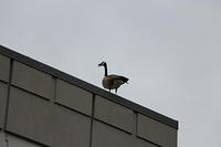 IMG 0857