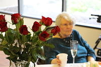 IMG 0960
