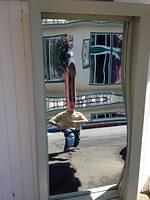IMG 1410