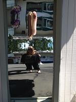 IMG 1414