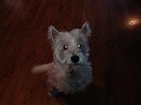 2013-09-18 Jeffs Baxter
