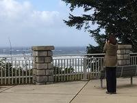 IMG 1544