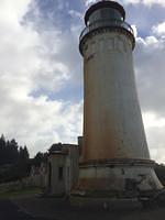 IMG 1551
