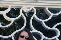 IMG 1716