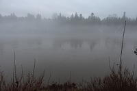 2014-02-12 Fog on the Willamette
