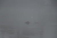 IMG 1769