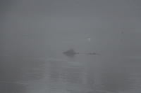 IMG 1770