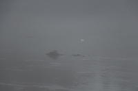 IMG 1771