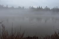 IMG 1772