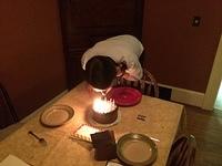 IMG 1713