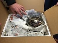 2014-03-19 Snakes in an Office