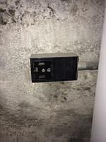 IMG 1749