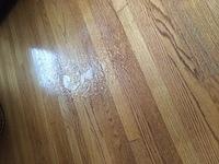 IMG 1923