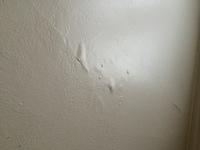 IMG 1924