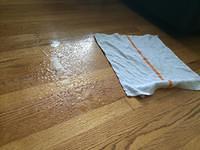IMG 1925
