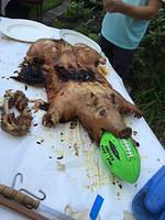 2014-09-07 Coops Annual Pig Roast