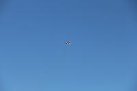 IMG 2228
