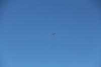 IMG 2229