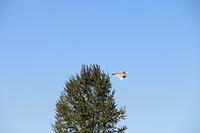 IMG 2236