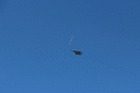 IMG 2241-MOTION