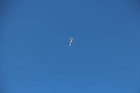 IMG 2247