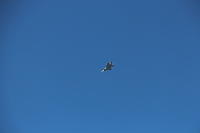 IMG 2248