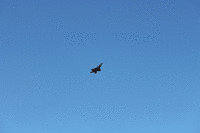 IMG 2252-MOTION