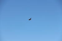 IMG 2256