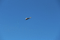 IMG 2260-MOTION