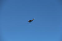 IMG 2262