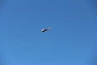 IMG 2263