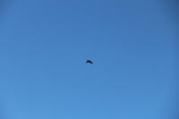 IMG 2273