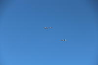 IMG 2278