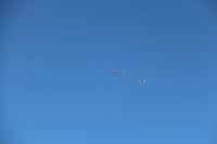 IMG 2282