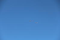 IMG 2283