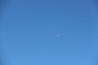 IMG 2284