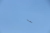 IMG 2287
