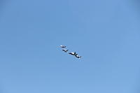 IMG 2289