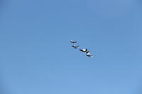 IMG 2290