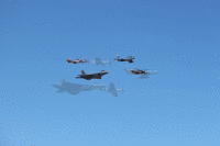 IMG 2312-MOTION