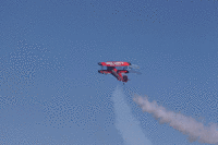 IMG 2427-MOTION