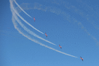 IMG 2512-MOTION