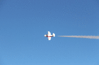 IMG 2525-MOTION