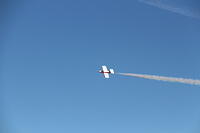 IMG 2525