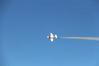 IMG 2528