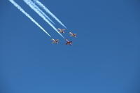 IMG 2539