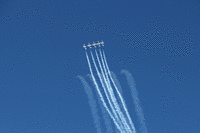 IMG 2567-MOTION