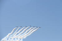 IMG 2617