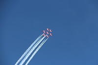 IMG 2682